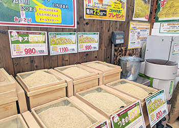 お米販売　ドリーム東大阪店